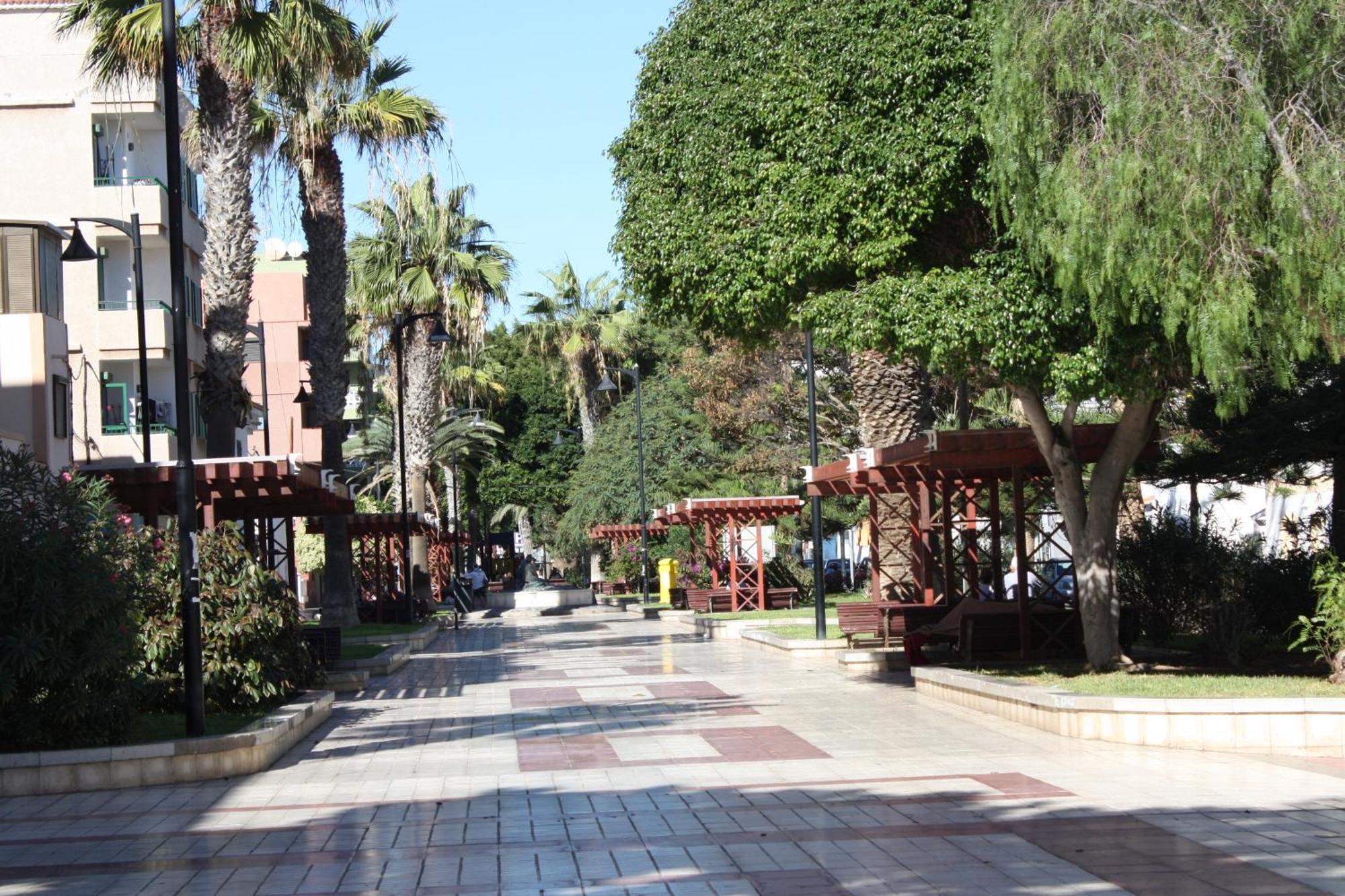 Primavera Tenerife Sur Apartment Арона Екстериор снимка