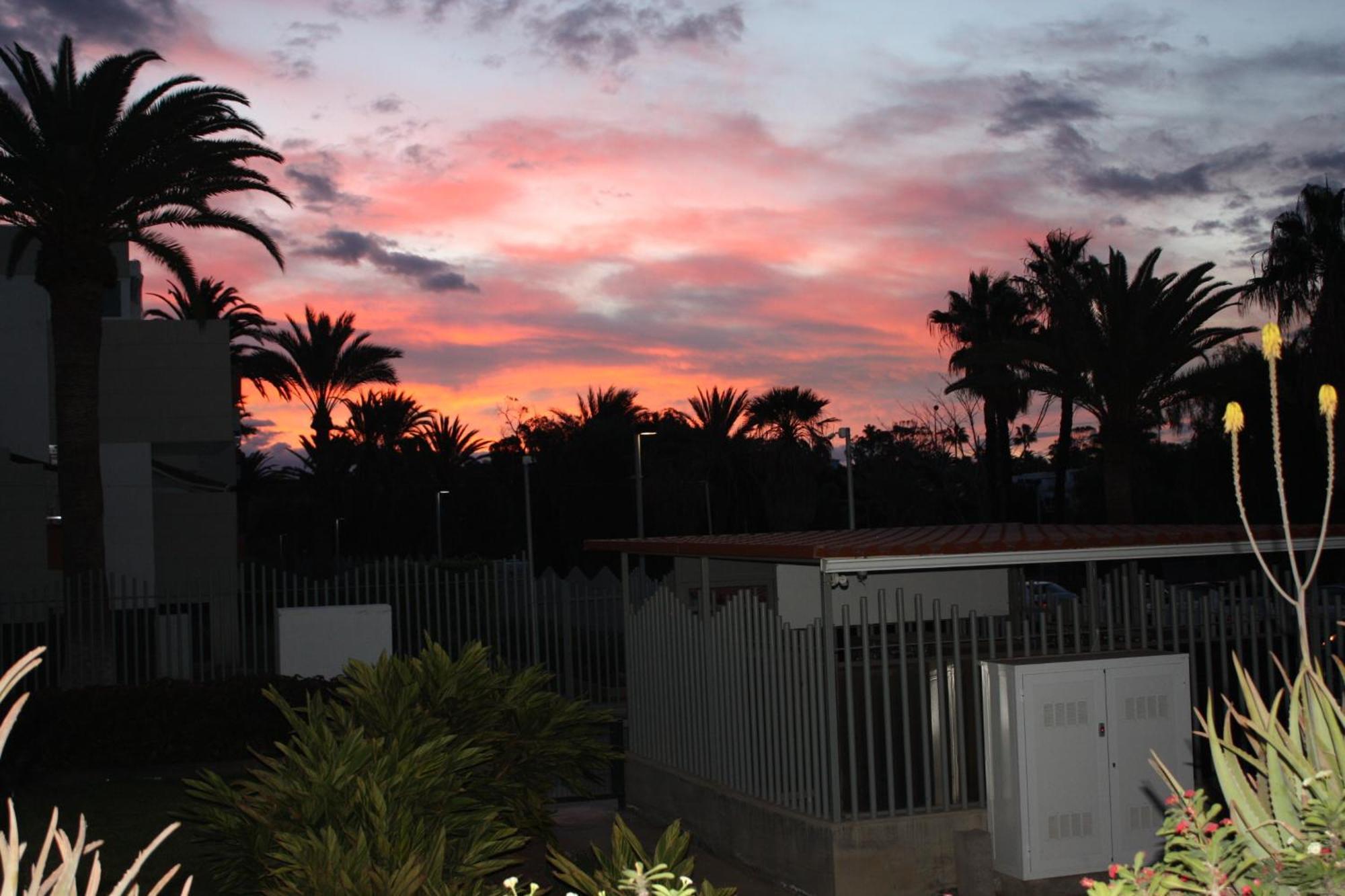 Primavera Tenerife Sur Apartment Арона Екстериор снимка